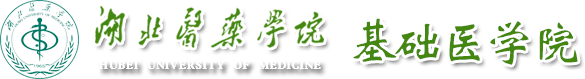太阳成集团tyc33455cc